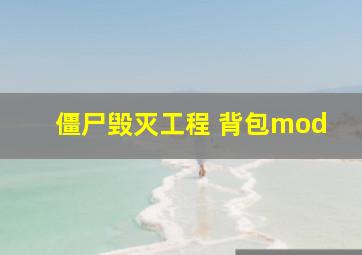 僵尸毁灭工程 背包mod